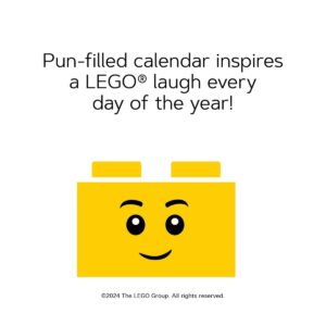 fun every day 2025 daily calendar 5009039